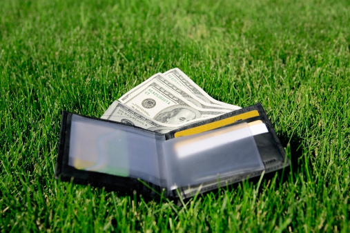 A wallet with cash lying in the grass