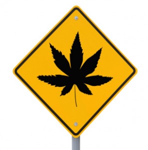 legalized pot and driving