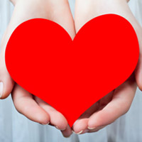 Donor Information in New Mexico 80