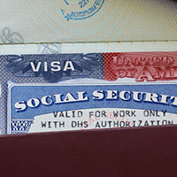Social Security Cards Social Security Cards